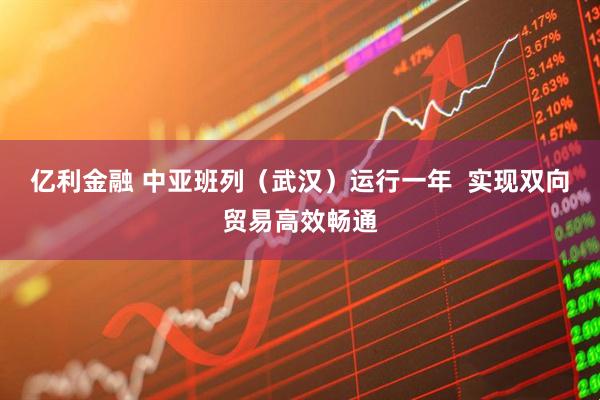 亿利金融 中亚班列（武汉）运行一年  实现双向贸易高效畅通