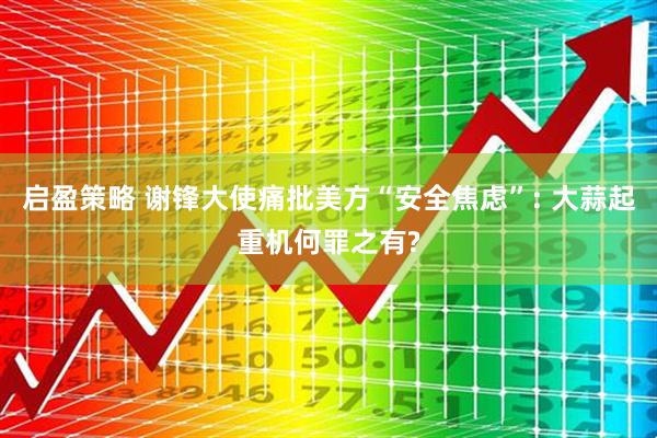 启盈策略 谢锋大使痛批美方“安全焦虑”: 大蒜起重机何罪之有?