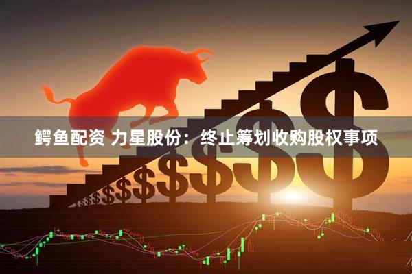 鳄鱼配资 力星股份:终止筹划收购股权事项