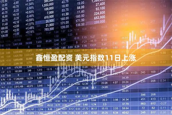 鑫恒盈配资 美元指数11日上涨