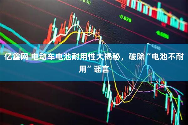 亿鑫网 电动车电池耐用性大揭秘，破除“电池不耐用”谣言
